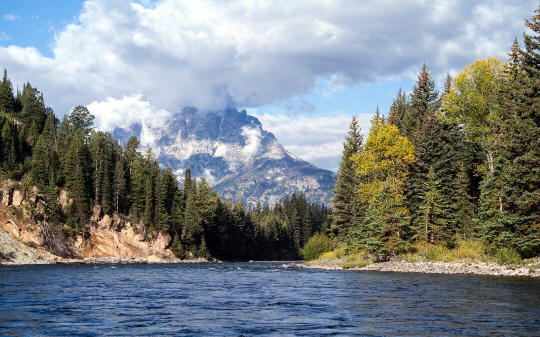 RON, sternik pontonu na Snake River (Wyoming)