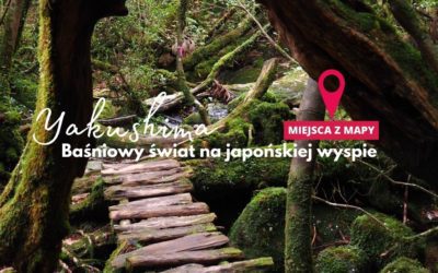 Yakushima – wyspa wiecznej zieleni i starożytnych cedrów (miejsca z mapy)