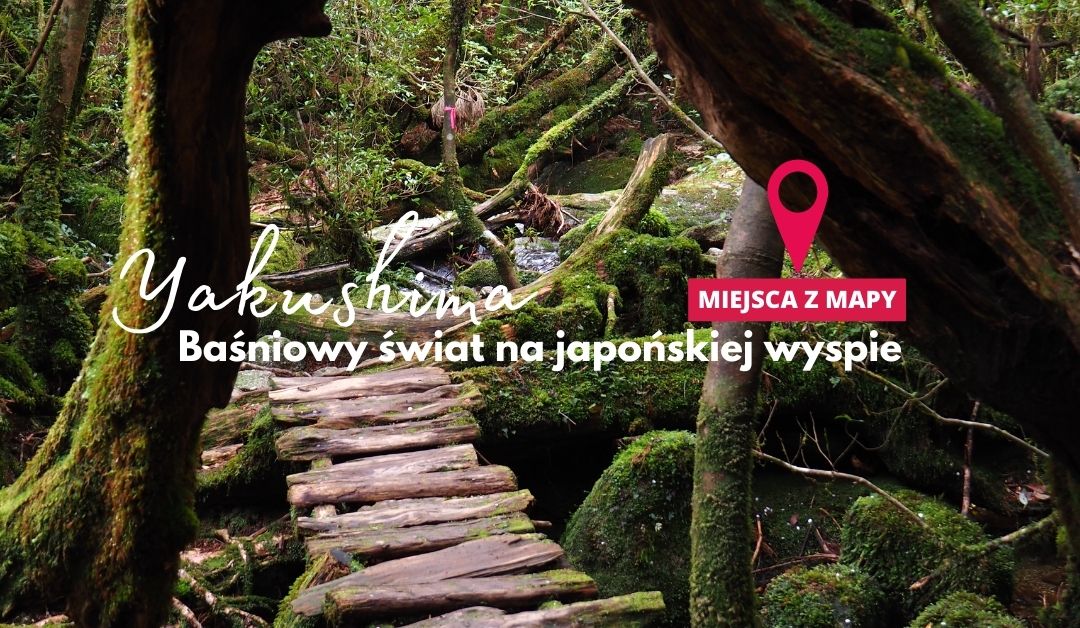 Yakushima – wyspa wiecznej zieleni i starożytnych cedrów (miejsca z mapy)