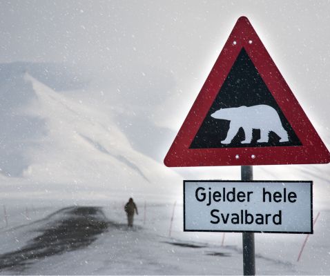 svalbard