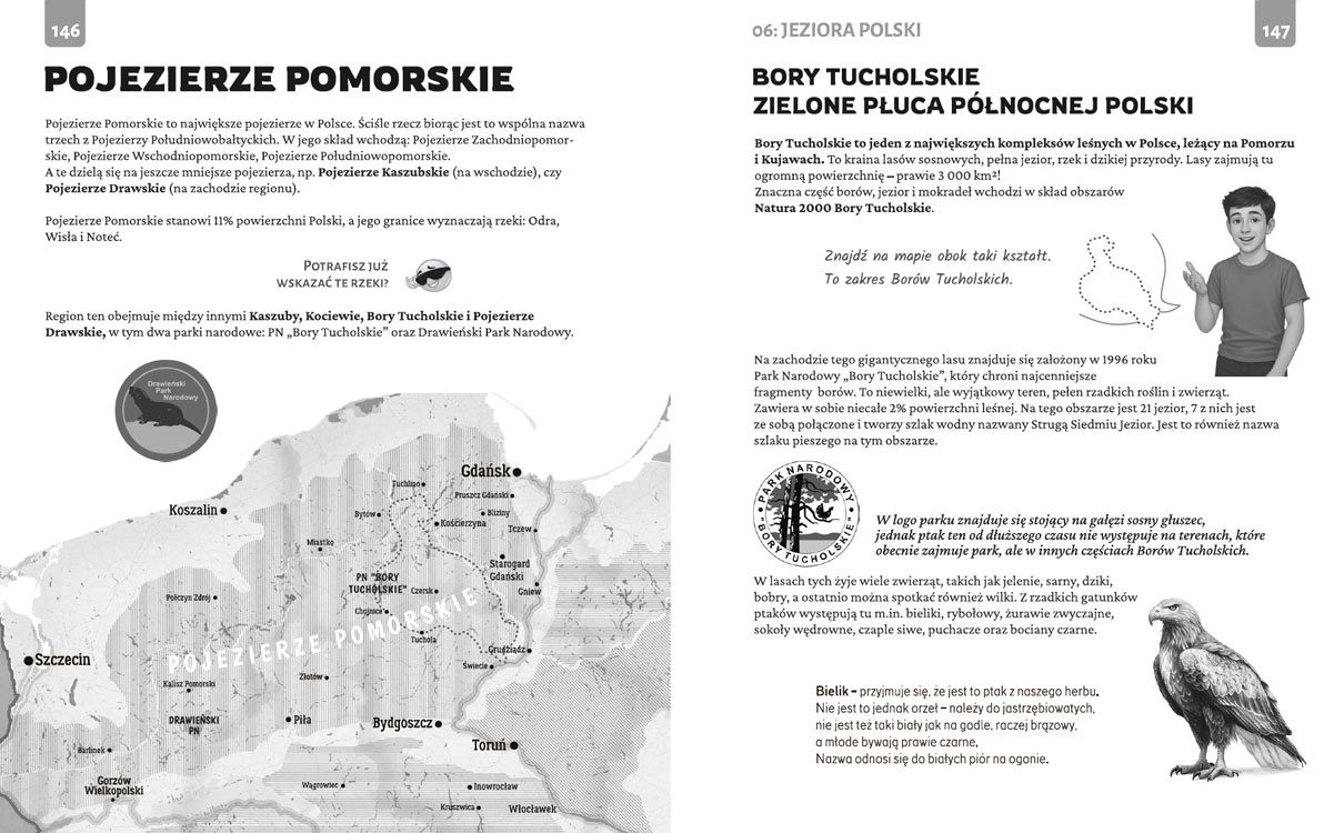 POLSKA w małym paluszku - nauka geografii przez zabawę 8 Fragment książki „Polska w małym paluszku” – Pojezierze Pomorskie i Bory Tucholskie z mapą i ciekawostkami przyrodniczymi